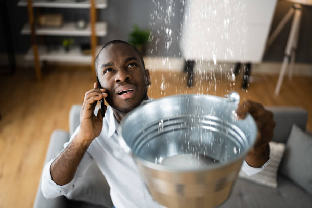 Carpet water damage restoration in LA