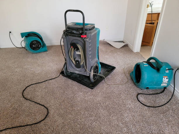 Best Mold removal after water damage  in Sughter, LA