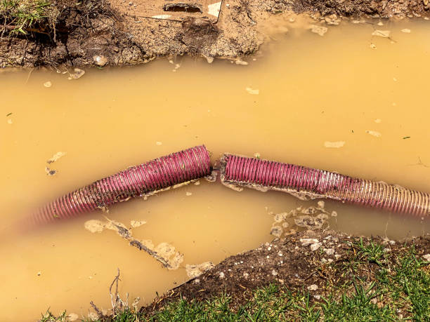 Best Residential water damage restoration  in Sughter, LA