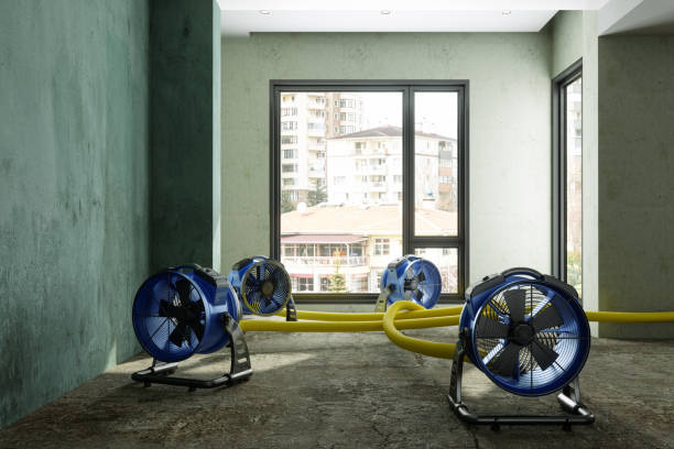 Best Carpet water damage restoration  in Sughter, LA