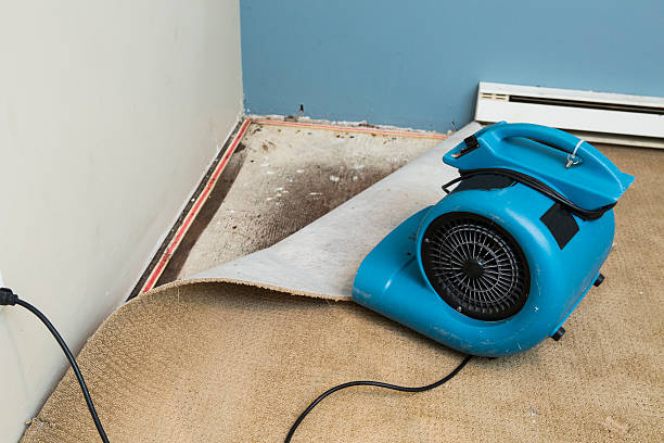  Sughter, LA Water damage restoration Pros